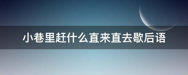 小巷里赶什么直来直去歇后语 小胡同里赶猪直来直去歇后语解释