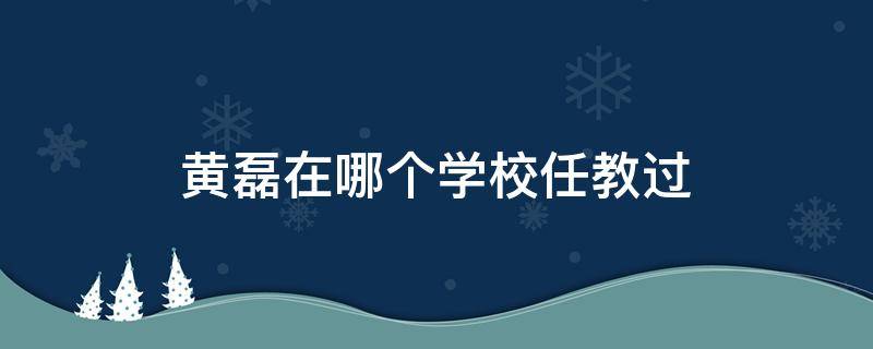 黄磊在哪个学校任教过 黄磊在哪里任教