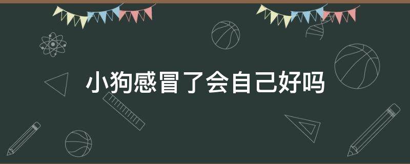 小狗感冒了会自己好吗 小狗狗感冒了会自己好吗