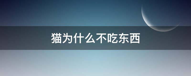 猫为什么不吃东西（猫为什么不吃东西只喝水）