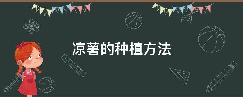 凉薯的种植方法 凉薯的种植方法,做好这几点,卖出好价钱