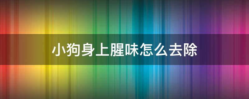 小狗身上腥味怎么去除 小狗身上的腥臭味怎么去除