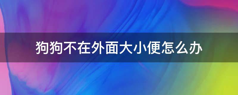 狗狗不在外面大小便怎么办 狗狗不在家大小便要出去大小便怎么办