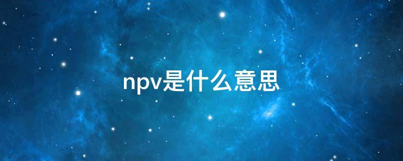 npv是什么意思（irr是什么意思）