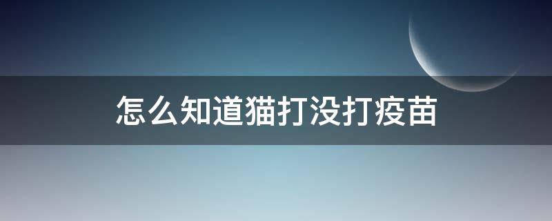 怎么知道猫打没打疫苗 怎样看猫打没打疫苗