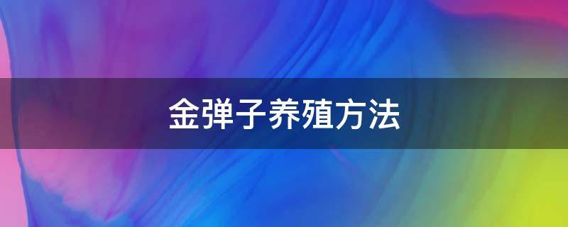 金弹子养殖方法 金弹子养殖方法与管理