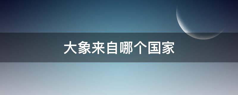 大象来自哪个国家 大象来自哪个国家英语