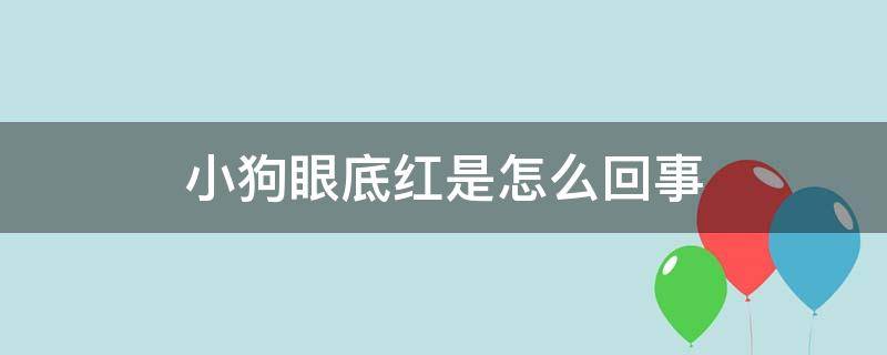 小狗眼底红是怎么回事（狗狗眼睛红是什么情况）