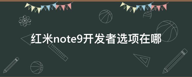 红米note9开发者选项在哪 红米note9开发者选项在哪里打开