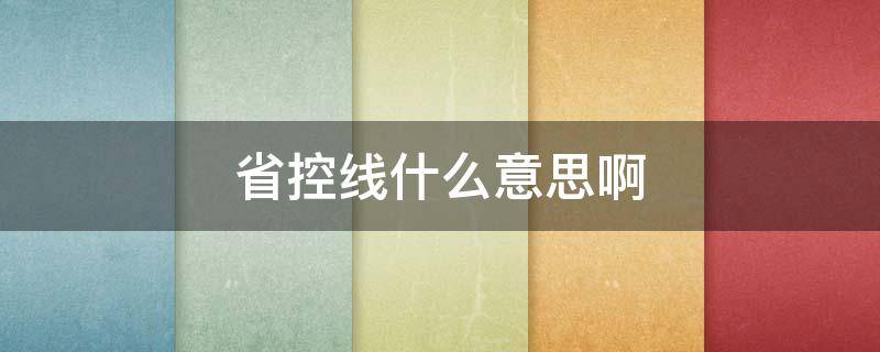 省控线什么意思啊 什么叫省控线?