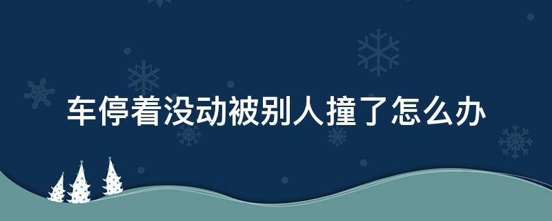 车停着没动被别人撞了怎么办（车停着没动被别人撞了怎么办别人还伤了）