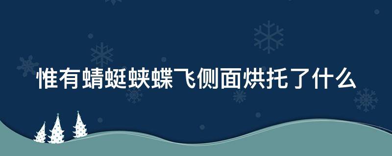 惟有蜻蜓蛱蝶飞侧面烘托了什么（惟有蜻蜓蛱蝶飞的作用是以什么衬什么）