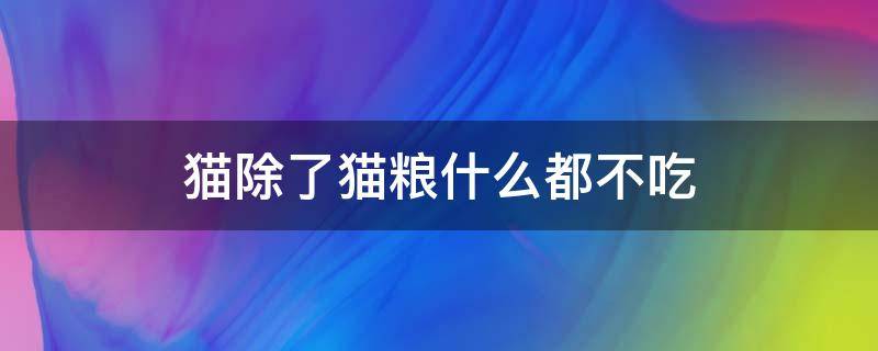 猫除了猫粮什么都不吃 我家猫除了猫粮什么都不吃