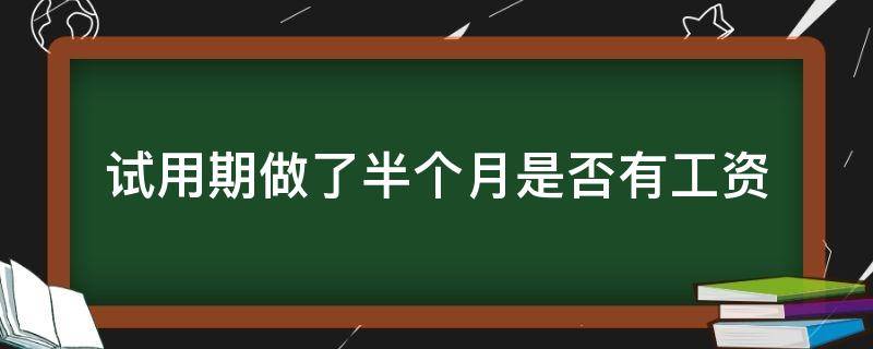 试用期做了半个月是否有工资 试用期半天有工资吗