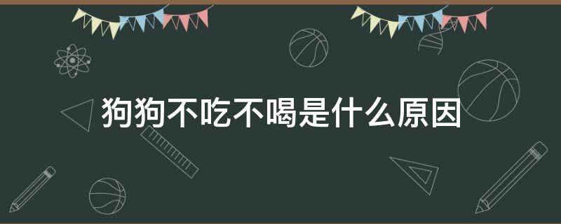 狗狗不吃不喝是什么原因（主人走了狗狗不吃不喝是什么原因）