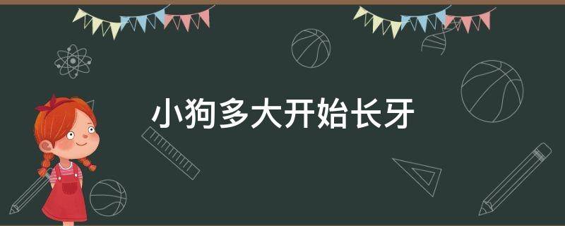 小狗多大开始长牙（小狗多大长犬牙）