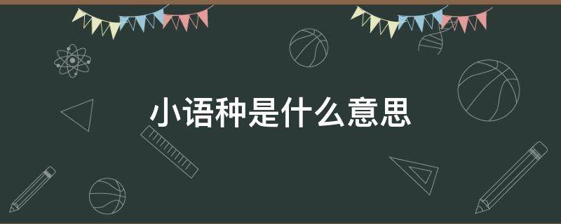 小语种是什么意思（高考报考小语种是什么意思）