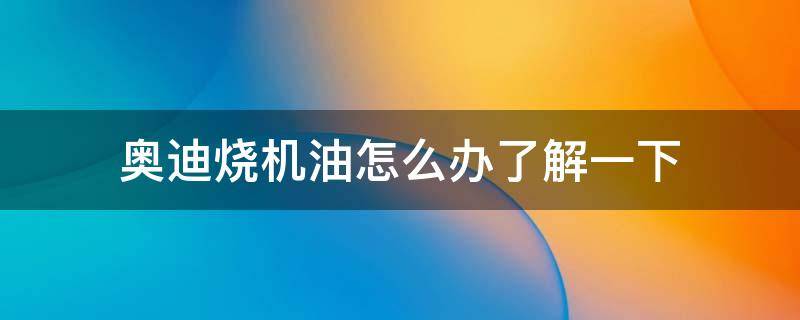 奥迪烧机油怎么办了解一下（奥迪烧机油有什么办法）