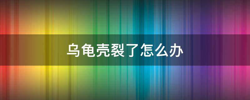 乌龟壳裂了怎么办 乌龟壳裂了怎么办能自愈吗