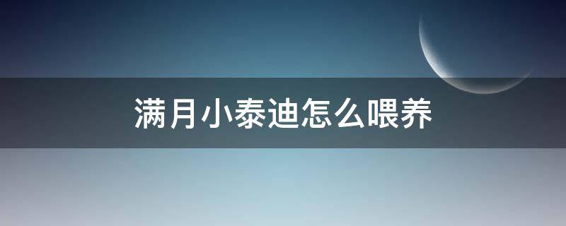 满月小泰迪怎么喂养（满月的泰迪怎么喂养）