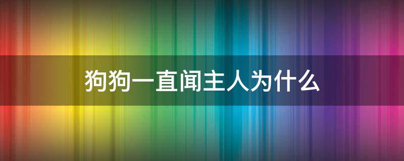 狗狗一直闻主人为什么（狗一直闻主人是怎么了）