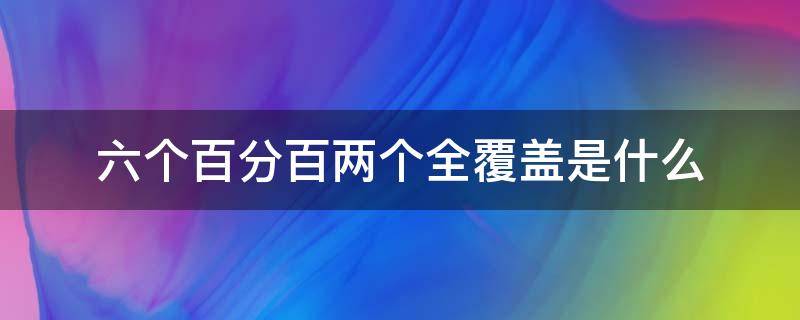 六个百分百两个全覆盖是什么（七个百分百两个全覆盖是什么）