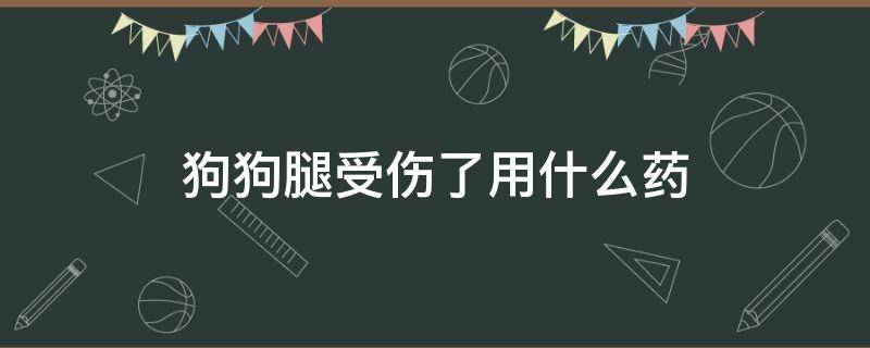 狗狗腿受伤了用什么药 狗腿摔伤了用什么药