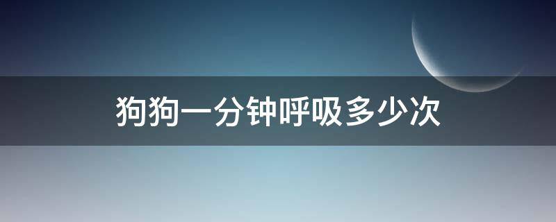 狗狗一分钟呼吸多少次 狗狗每分钟呼吸多少次