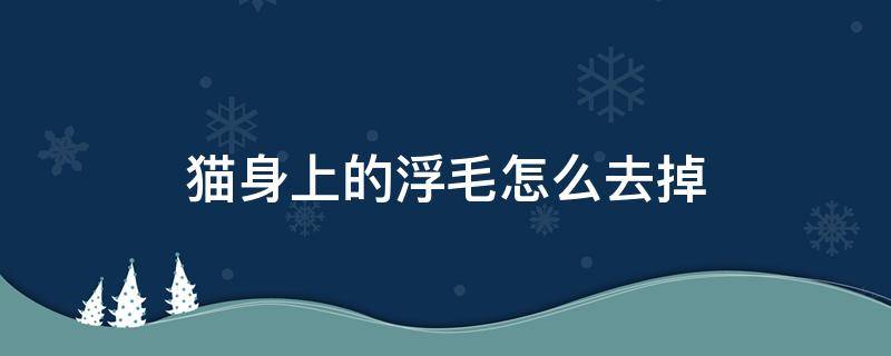 猫身上的浮毛怎么去掉（猫咪身上的浮毛怎么彻底清除）