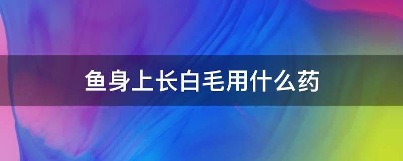 鱼身上长白毛用什么药 鱼身上长白毛用什么药好