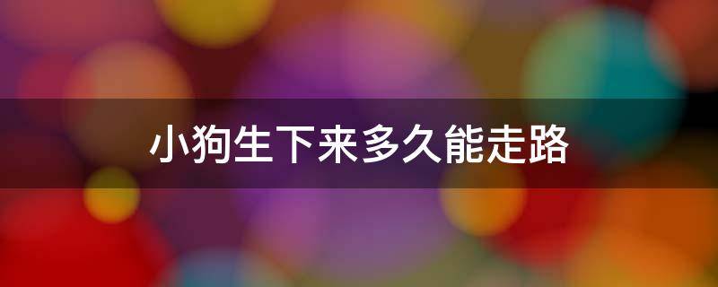 小狗生下来多久能走路 小狗狗生下来多久可以走路