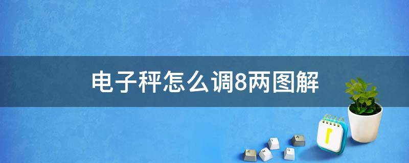 电子秤怎么调8两图解 电子秤如何调8两