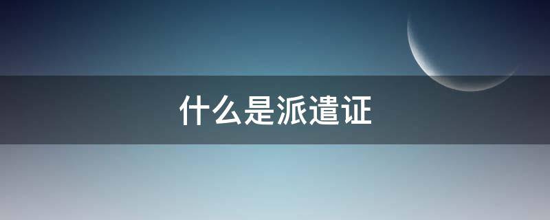 什么是派遣证（什么是派遣证和报到证）