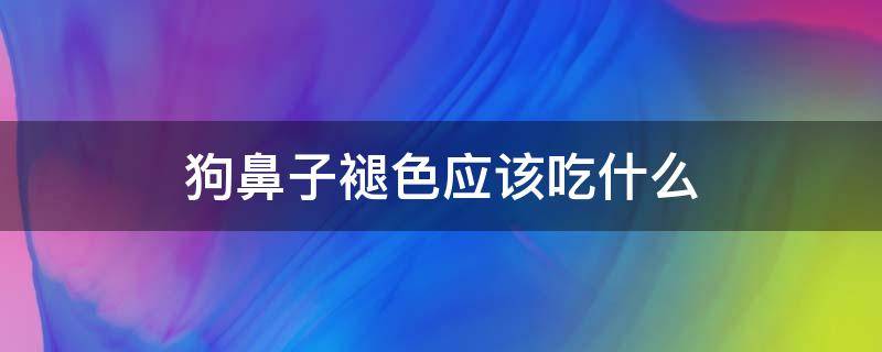 狗鼻子褪色应该吃什么（狗狗鼻子褪色要补充什么）