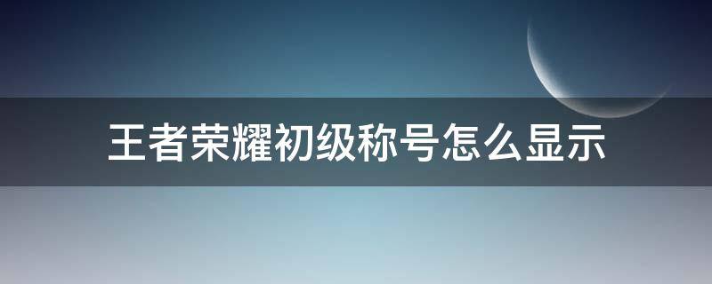 王者荣耀初级称号怎么显示 王者有中级称号怎么设置显示初级称号