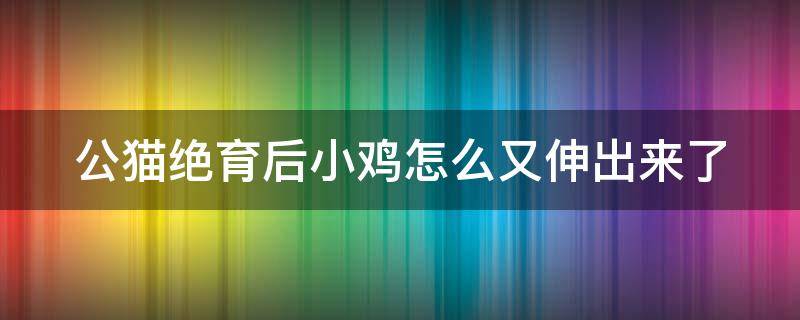 公猫绝育后小鸡怎么又伸出来了 公猫绝育3年后还骑猫是什么情况