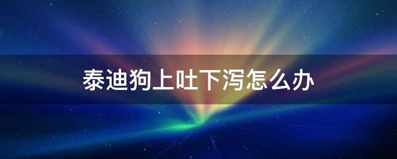 泰迪狗上吐下泻怎么办（泰迪犬上吐下泻吃什么药）