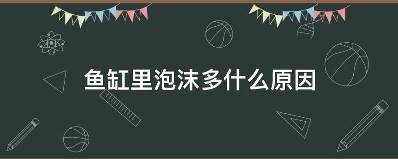 鱼缸里泡沫多什么原因（鱼缸里泡沫多是什么原因）