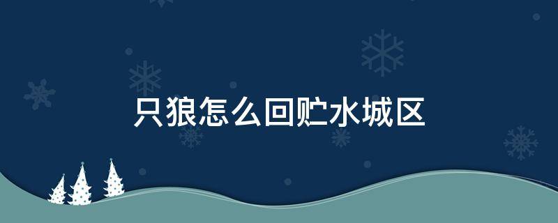 只狼怎么回贮水城区 只狼贮水城区打完去哪