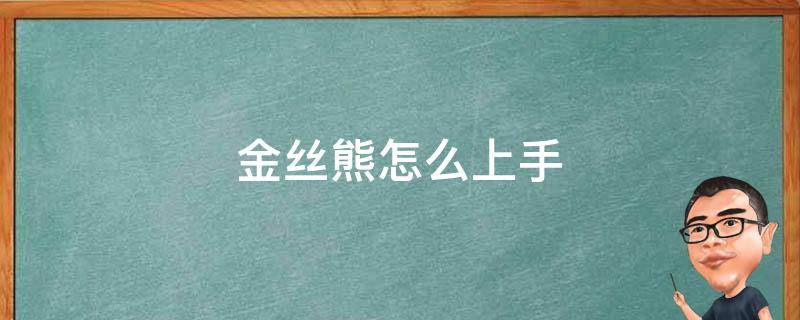 金丝熊怎么上手 金丝熊怎样上手