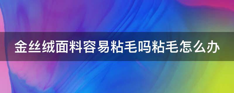 金丝绒面料容易粘毛吗粘毛怎么办（2012奥运网球决赛）