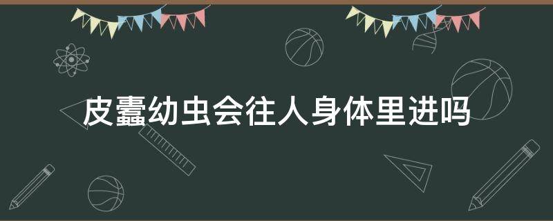 皮蠹幼虫会往人身体里进吗（黑皮蠹会往人身体里进吗）