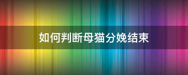 如何判断母猫分娩结束（如何判断母猫分娩结束胎盘出来了）