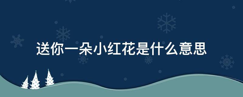 送你一朵小红花是什么意思 送你一朵小红花花的意思