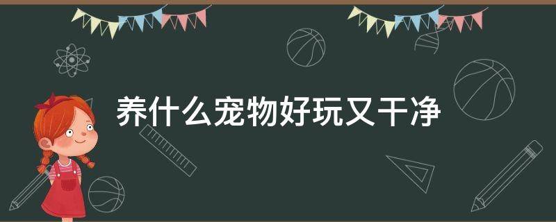 养什么宠物好玩又干净（养什么宠物好玩又干净不用打疫苗）