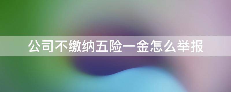 公司不缴纳五险一金怎么举报 公司不交五险一金怎么举报