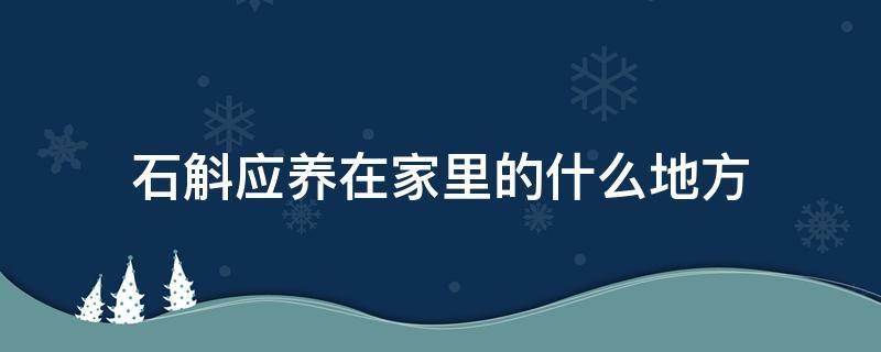 石斛应养在家里的什么地方（石斛可以养在家里吗风水禁忌）