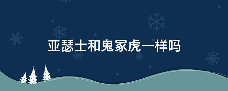 亚瑟士和鬼冢虎一样吗（鬼冢虎和亚瑟士什么区别）