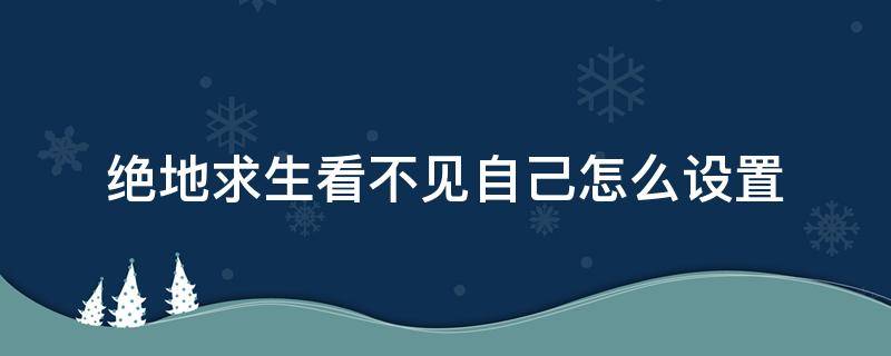 绝地求生看不见自己怎么设置（绝地求生容易看到人的设置）