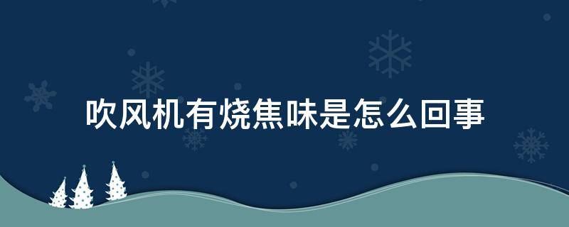 吹风机有烧焦味是怎么回事（吹风机里面有烧焦味怎么办）